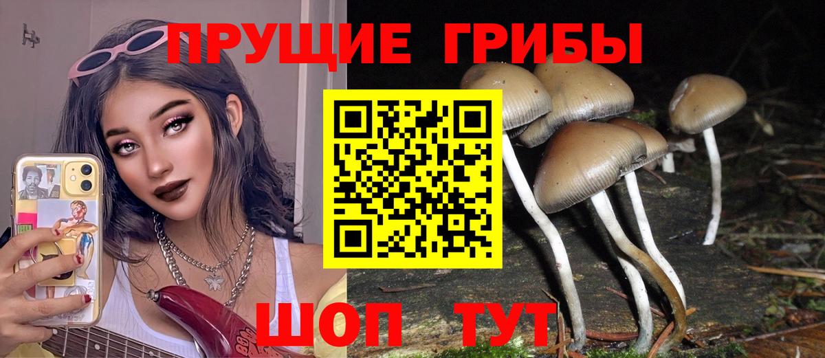 Галлюциногенные грибы MAGIC MUSHROOMS Кумертау